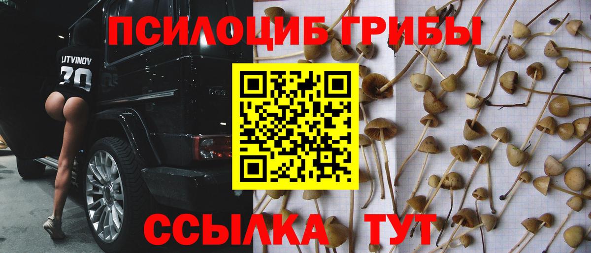 Коммунар  цены наркотик  Вход с VPN  Галлюциногенные грибы Psilocybine cubensis 