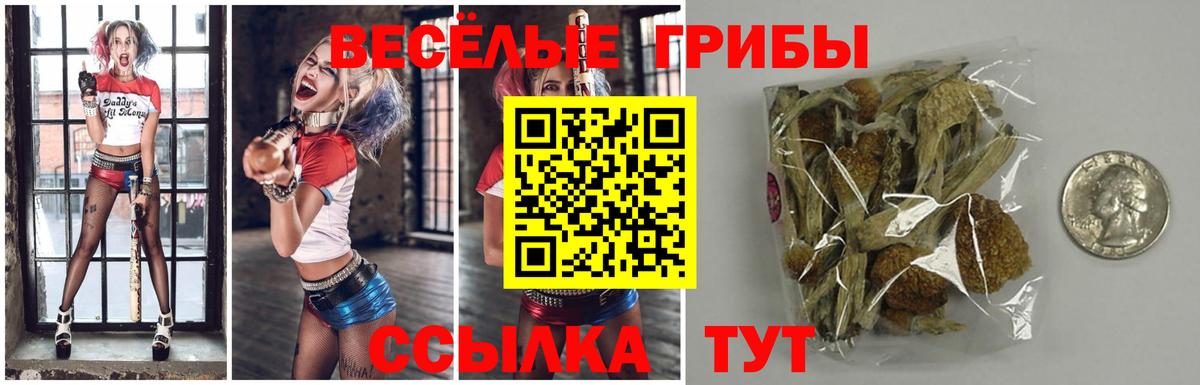 Галлюциногенные грибы Psilocybe Коммунар